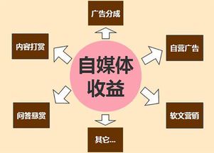 自媒体入门赚钱指南:从0到1的实战路径