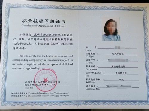 自媒体运营师证书的市场价值分析