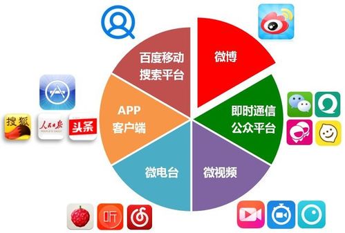 自媒体运营:从入门到精通的实战指南