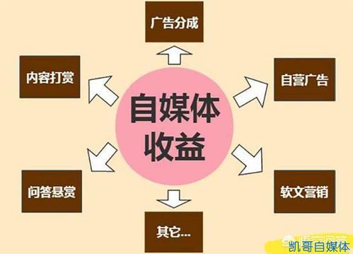 自媒体如何实现稳定收益?2个关键策略与实操指南