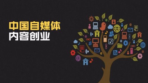 自媒体创业从0到1的完整指南:如何迈出成功第一步