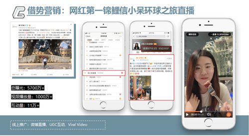 自媒体代运营套餐价格解析:如何选择适合你的服务?