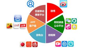 自媒体代理运营:如何高效打造品牌影响力**