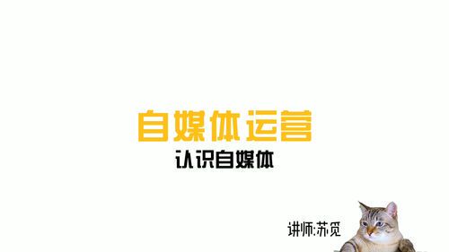 如何自学自媒体运营:从零开始打造个人品牌