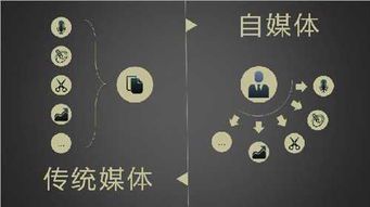 自媒体入门指南:从零开始打造个人品牌