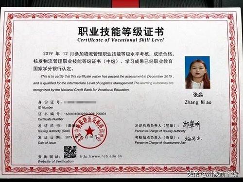 自媒体运营1+X证书:开启职业新篇章的黄金钥匙