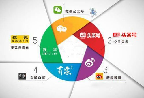自媒体运营的职业类型解析