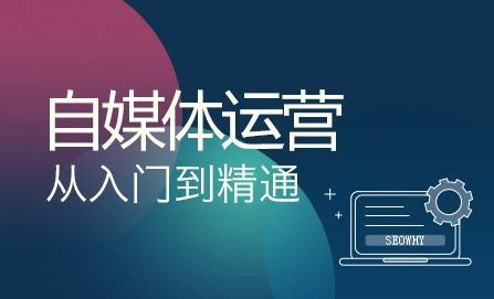如何快速入门自媒体并打造个人品牌