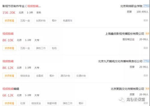 自媒体视频剪辑月费用解析:价格因素与预算规划