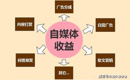 自媒体运营的专业化之路:从入门到精通