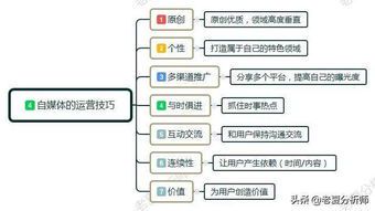 自媒体运营属于什么专业?探索其学科背景与职业发展