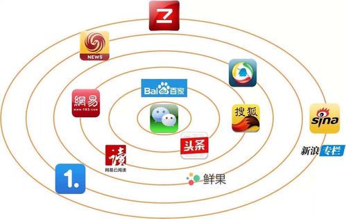 IP自媒体:数字时代的个人品牌与内容创业