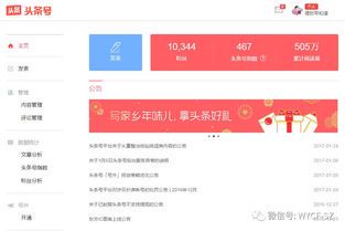 自媒体平台注册指南:哪些平台适合新手快速入门
