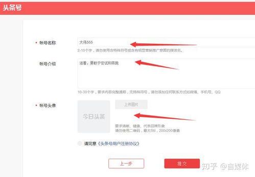 自媒体账号的运营策略与变现途径