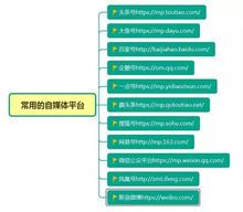 自媒体账号的类型与特点