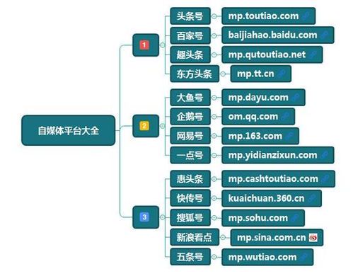 自媒体新手入门指南:如何选择适合自己的平台