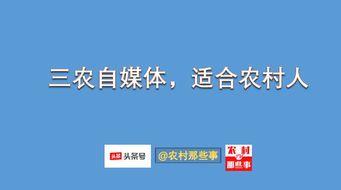 三农自媒体赚钱的5大核心路径
