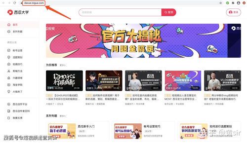 自媒体运营去哪里学最好？掌握这些渠道轻松入门