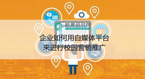 自媒体运营学校:打造个人品牌的黄金起点