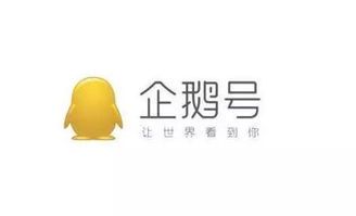 腾讯企鹅号自媒体平台:内容创作者的机遇与挑战