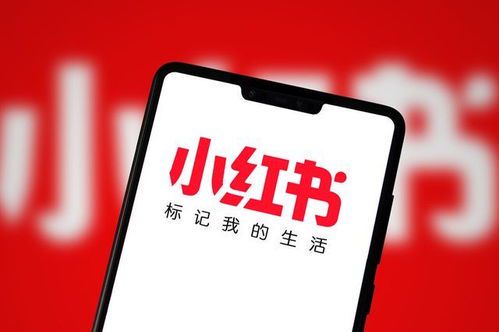 国外自媒体人必看！6个免费平台助你轻松拓展全球受众