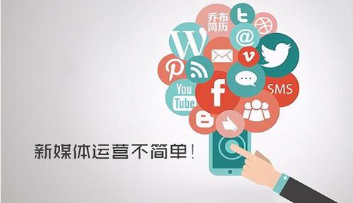 销售加自媒体:双管齐下的赚钱秘籍