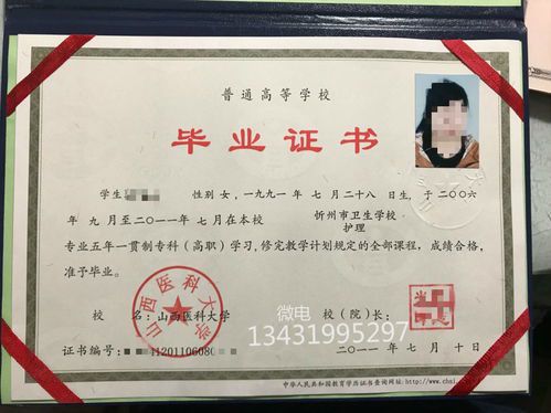 自媒体专业大专院校:培养新时代传播人才的摇篮