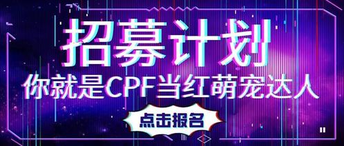 四川自媒体达人的崛起与影响力
