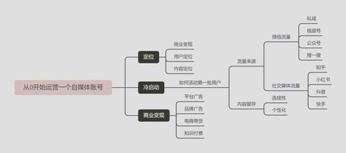 如何高效运营自媒体账号:从0到1的实战指南