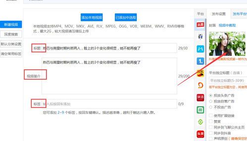 自媒体账号管理平台:高效运营与内容优化的利器