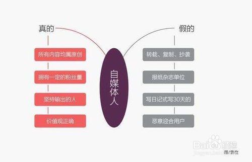 自媒体技术的核心分类与应用场景