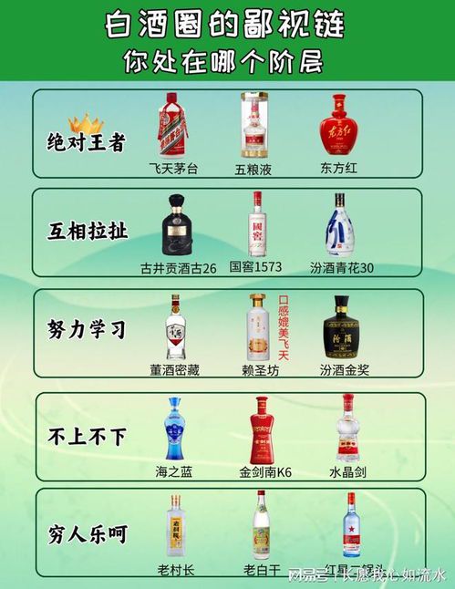 自媒体鄙视链:谁在鄙视谁?为何存在这种鄙视链?