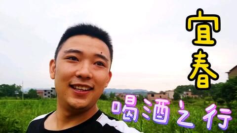 标题：自媒体乱象背后的贬义词解析