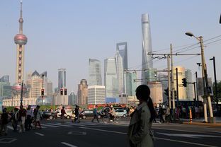 黄浦江畔的流动诗篇：上海外滩公路漫步指南