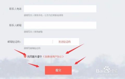 中金在线：专业财经自媒体的领航者
