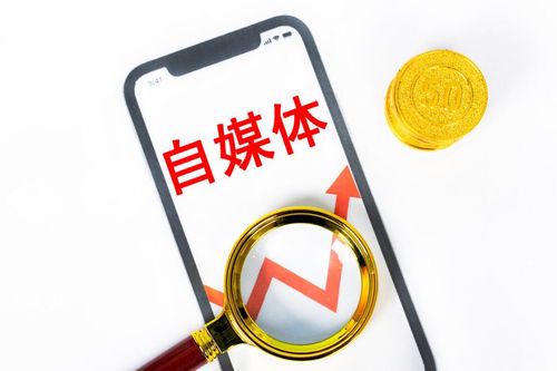 如何从零开始入门自媒体行业