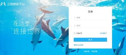 新手小白最适合入门的5大自媒体平台推荐