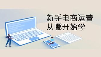新手运营入门指南:从零开始系统学习