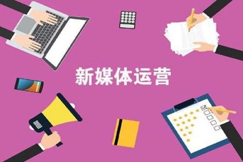 新媒体运营的核心职责解析