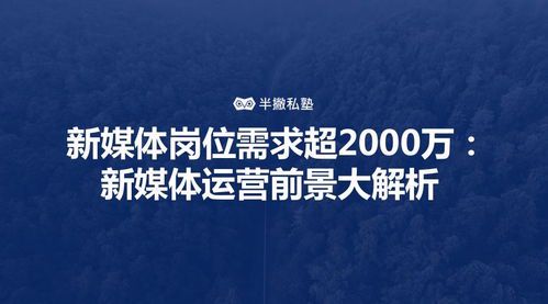 新媒体运营职业前景深度解析