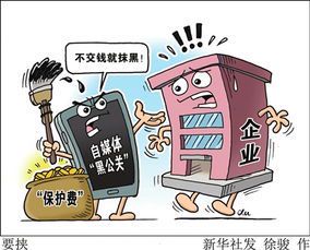 自媒体黑公关：揭秘网络舆论操控的黑暗面
