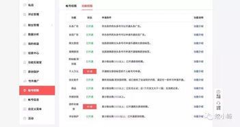 自媒体新手从0到1的账号运营全指南