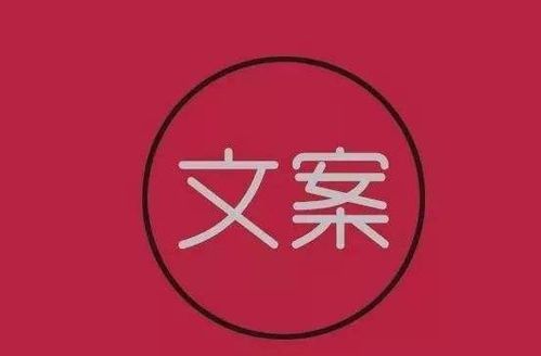 自媒体新手入门指南:纯干货分享,零废话速成!