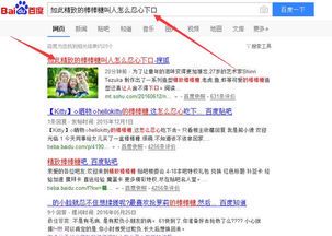 自媒体播主是什么意思?深入解析这一新兴职业