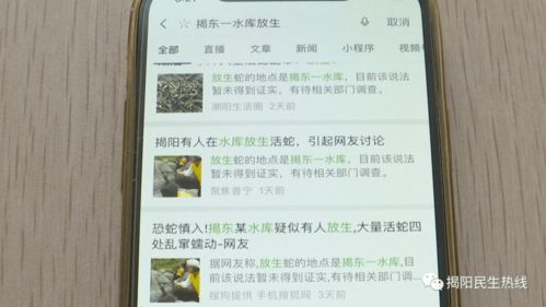 自媒体发布不实信息的法律后果与处罚措施