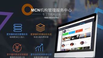 MCN自媒体:揭秘其核心业务与运营模式