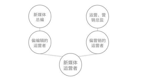 新媒体时代,哪些岗位最吃香?揭秘高需求职业方向