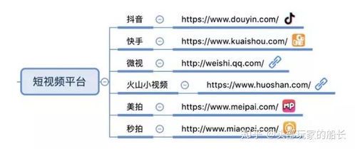 整治网络自媒体乱象