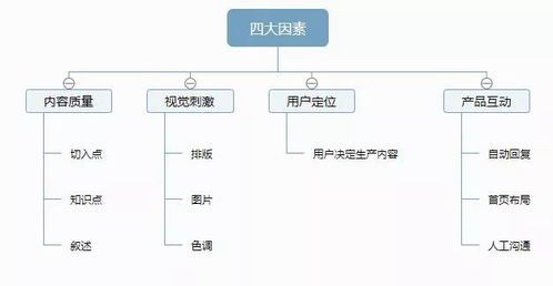 自媒体公司运营范围详解：业务领域与核心服务