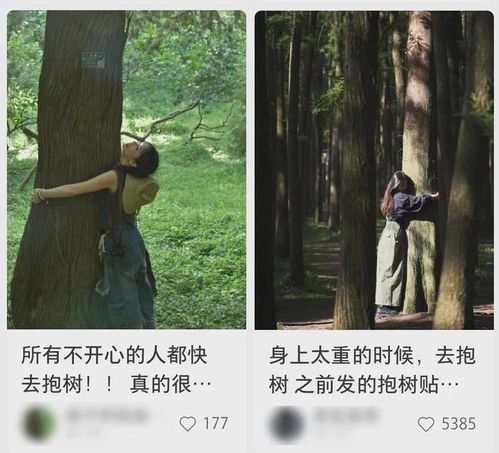 抱树：一种被忽视的自然疗愈方式